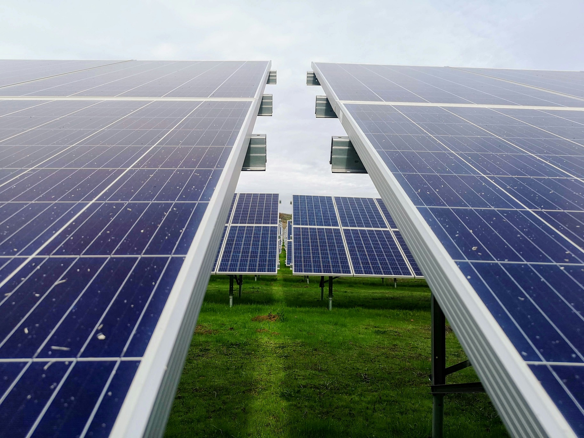 Serre photovoltaïque : solution durable pour l'agriculture et la production d'énergie