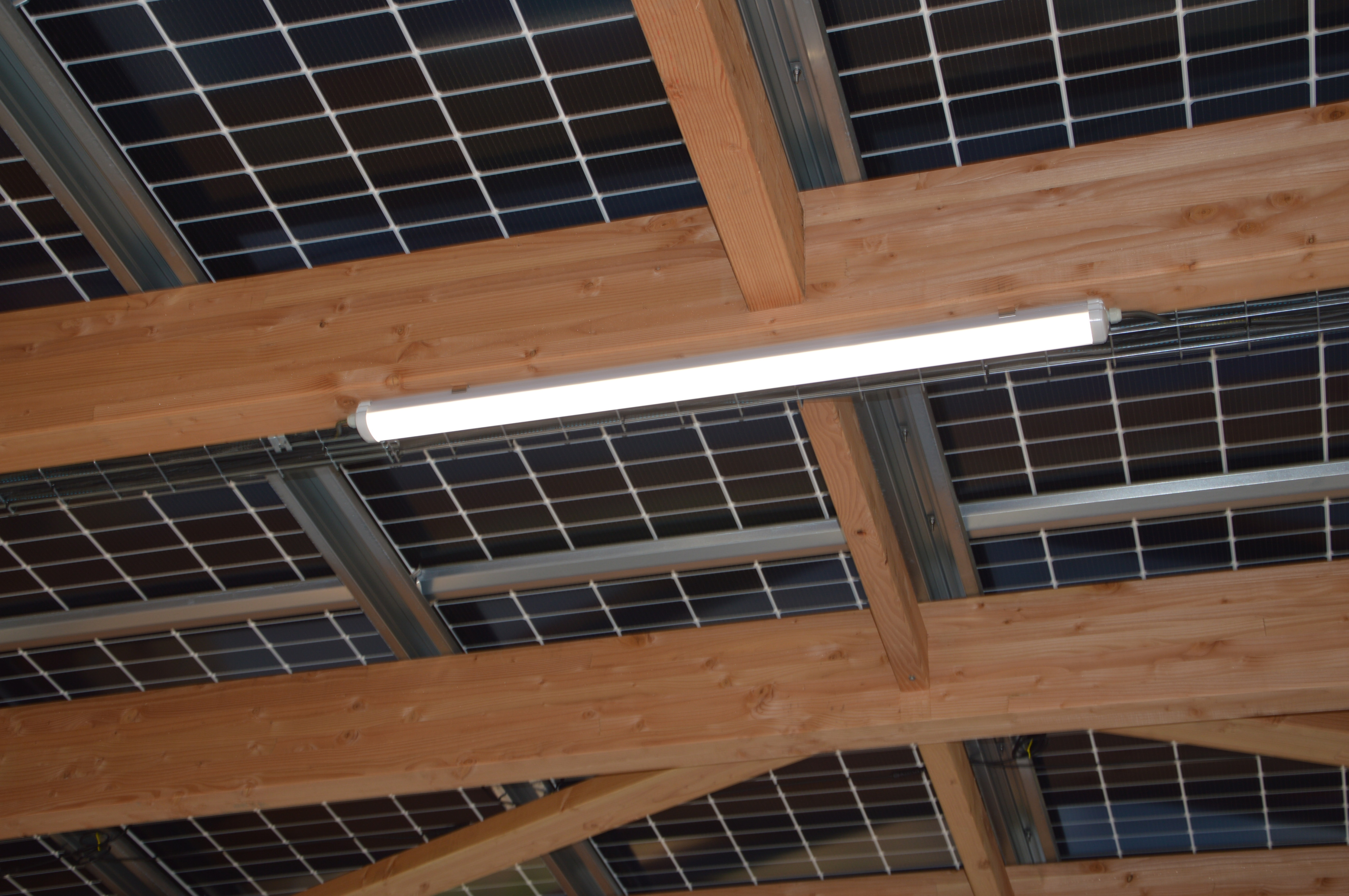Agrivoltaïsme : solution durable pour l'agriculture et la transition énergétique